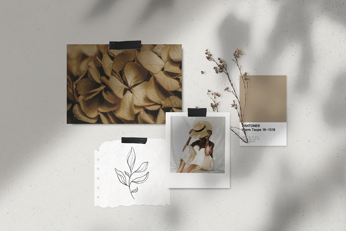 Botanical line art sketches, a Decorative Illustration by Madiwaso (Photo 5 of 6)