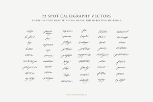 Calligraphy Vectors: Website Words