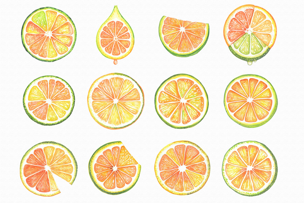 Watercolor Citrus Fruit Clipart, an Illustration by Libby Wishes (Photo 2 of 7)