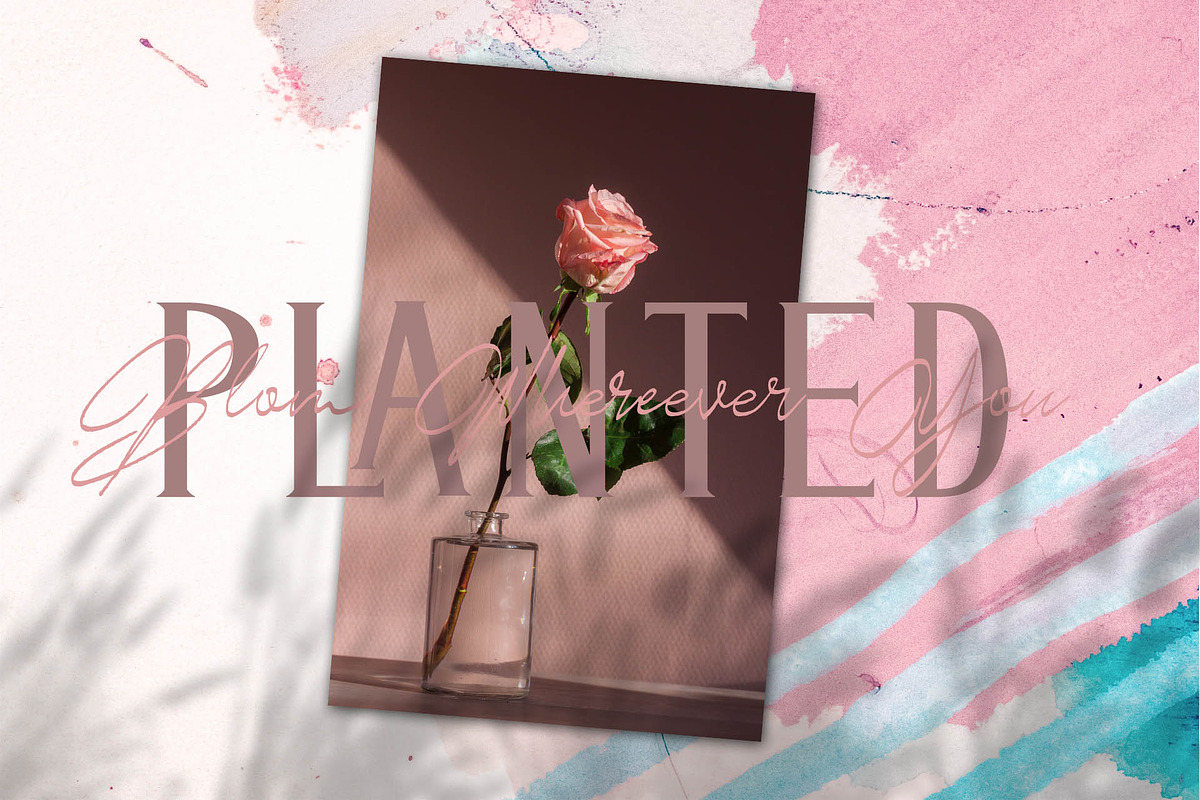Las Pariellas Font Duo preview 4