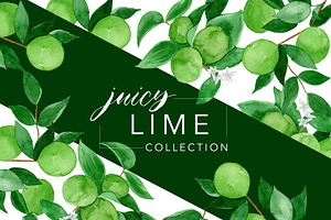 Juicy Watercolor Lime Set
