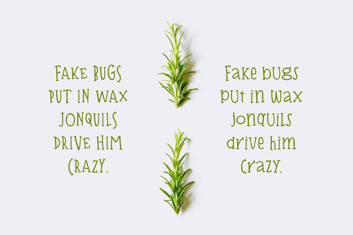 Bisquit | A Unique Serif Font, a Serif Font by Ayca Atalay (Photo 7 of 10)