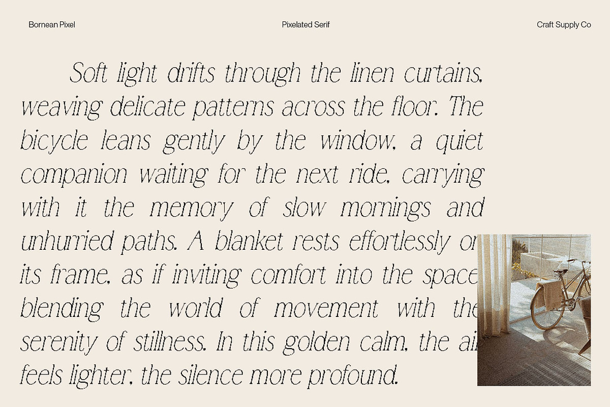Bornean Pixel, a Serif Font by Craft Supply Co. (Photo 5 of 8)