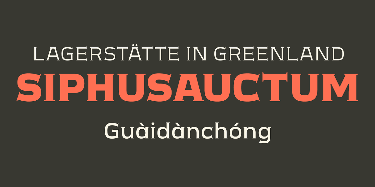 Meguro Serif, a Serif Font by GT&CANARY (Photo 8 of 12)