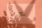 Kage - Botanical Shadow Overlays, a Texture Graphic by Studio Yorktown (Thumbnail 3 of 10)