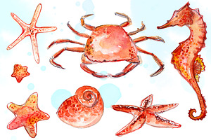 Beach animals clipart