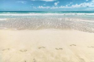 Hawaii Sea and Sand