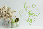 Carelina - Modern Calligraphy, a Script Font by erlosDESIGN (Thumbnail 3 of 12)