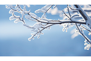 fall sunny snow ai generated, a Background Photo by pikepicture