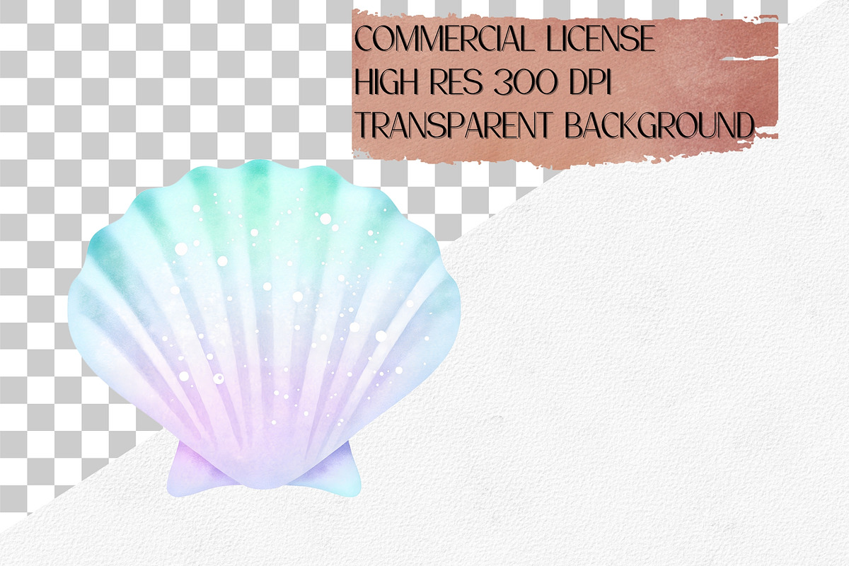 Watercolor Seashells Clipart Set, an Illustration by CropUp Creative (Photo 4 of 4)