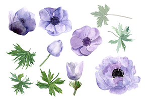 Anemone Watercolor Clip Art Wreath