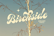 Birchside Script, a Script Font by Get Studio (Thumbnail 14 of 28)