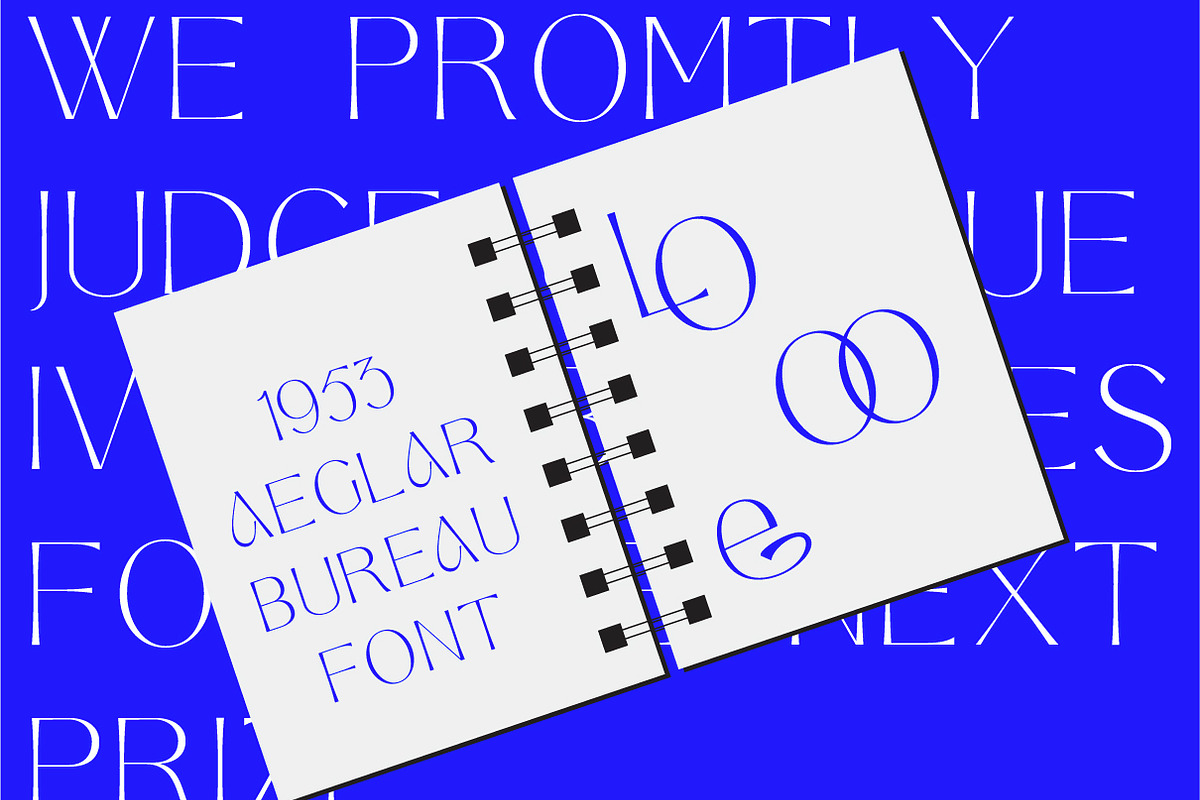Aeglar Display, a Serif Font by Portion.Labs (Photo 9 of 12)
