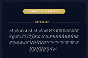 Hummington, a Script Font by Zeune Type Foundry (Thumbnail 13 of 15)