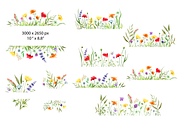 Watercolor Wildflowers clipart, a Decorative Illustration by Lemon design (Thumbnail 5 of 21)