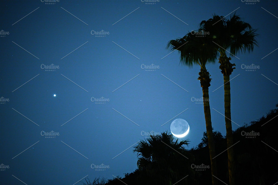 Luna And The Evening Star