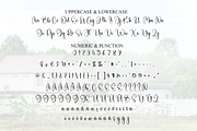 Cottage | Script Font, a Handwritten Font by Scratchones (Thumbnail 7 of 9)