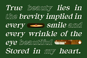 Alvinus Pixel, a Serif Font by Craft Supply Co. (Thumbnail 3 of 8)