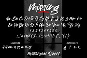 Missing - a Freestyle Brush Font, a Script Font by Vava Aryanto (Thumbnail 9 of 9)