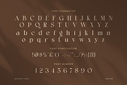 Ciesla Elegant Serif Font, a Serif Font by Graphicxell (Thumbnail 7 of 8)
