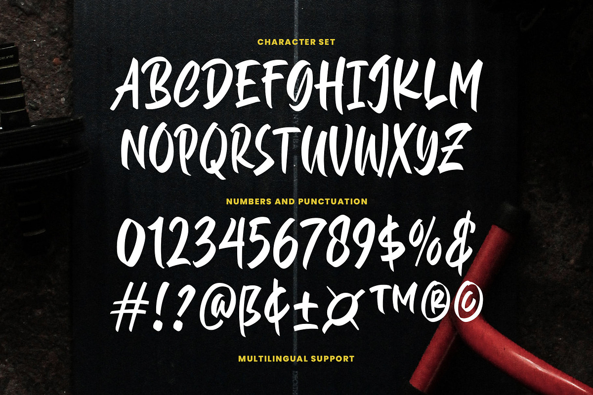 Brightson Mattness, a Script Font by Novitype (Photo 8 of 12)