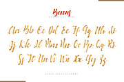 Burlesque. Pack of 4 Fonts, a Script Font by Modern vector (Thumbnail 7 of 7)