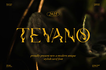 Tevano || Modern Unique Serif Font