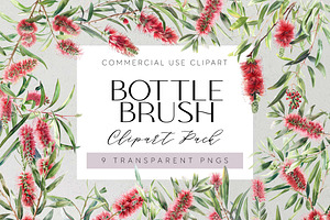 Bottle Brush Floral Clipart PNG