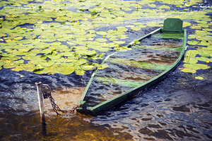 Sunken rowing boat, a Nature Photo by BOOCYS
