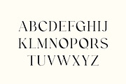 Ethereal Beauty Makeup Serif Font, a Serif Font by UICreative (Thumbnail 4 of 13)