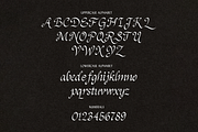 Epitaph Script, a Script Font by Tom Gordon Design (Thumbnail 2 of 5)