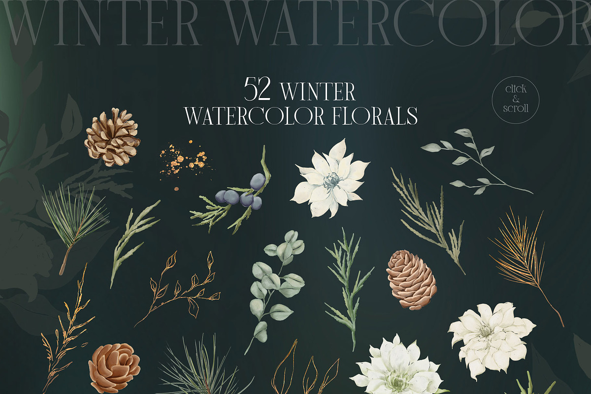WINTER FLORALS watercolor set, a Decorative Illustration by Yuliia Lashevska (Photo 9 of 10)