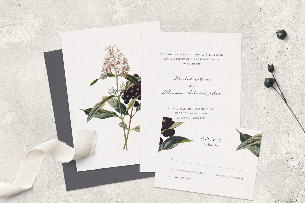 Vintage Flower Illustrations Bundle, an Illustration by Greta Ivy (Photo 2 of 62)