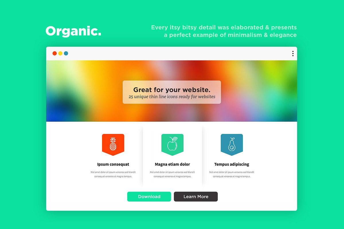 Organic | 25 Thin Line Icons, an Outline Icon by Alex Blogoodf (Photo 8 of 15)