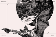 Halloween Special! Bats of the World, an Animal Illustration by Nomad Visuals (Thumbnail 11 of 17)