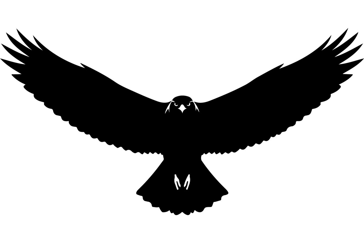 Forest Sky Birds Illustration Vector, an Animal Illustration by Designer_Momina (Photo 15 of 21)
