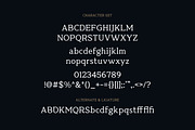 MT Belsior - Ethical AI Serif, a Serif Font by twinstd (Thumbnail 12 of 13)