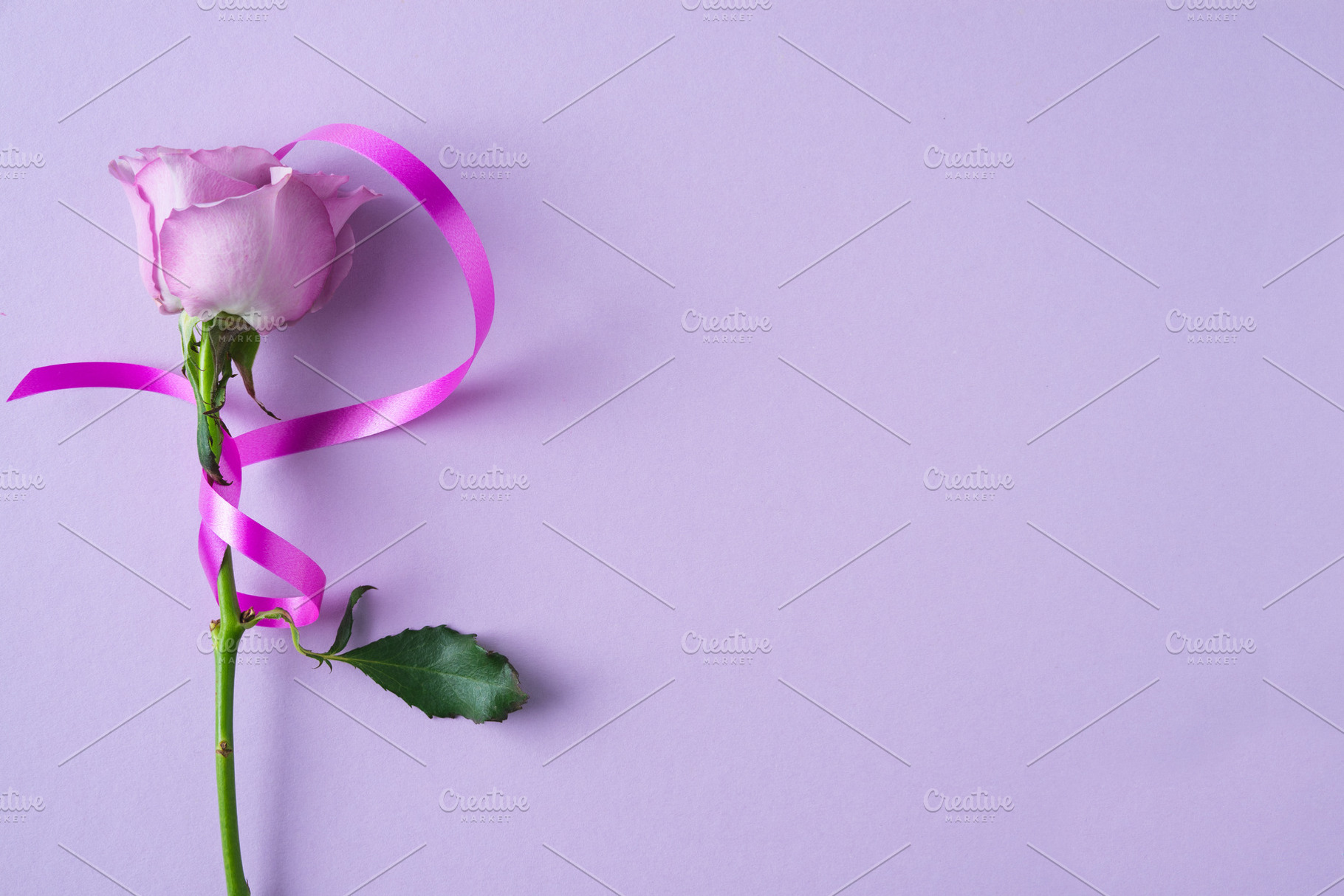 Purple rose with ribbon on purple, a Beauty & Fashion Photo by Mineko