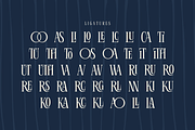 Pravelle Christmas Elegant Serif, a Serif Font by Ainun Jinan (Thumbnail 12 of 12)