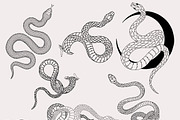 30 Procreate Snake Stamps, a Brush Add-On by Nuclear Brushes (Thumbnail 8 of 10)