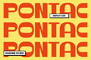 WS Pontac, a Sans Serif Font by Wasabib Studio (Thumbnail 2 of 8)