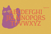 Harlowe – Natural Display Serif Font, a Serif Font by ethylene.creative (Thumbnail 2 of 9)