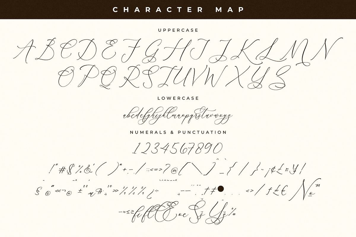 Creattons Balleryna A Beauty Script, a Script Font by Storytype Studio (Photo 13 of 15)