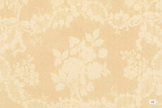 Parlour: Vintage Papers, a Texture Graphic by Dina Mae (Thumbnail 6 of 13)