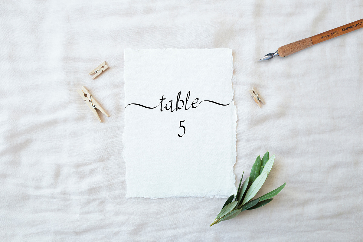 RSVP Display Calligraphy Font +, a Font by DailyMiracleDigitals,LLC (Photo 12 of 12)