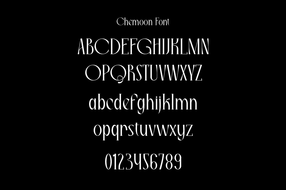 Qisschek - Modern Serif Font, a Serif Font by Iqsiart Studio (Photo 10 of 12)