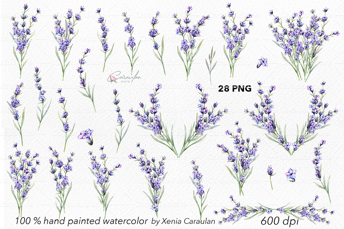 Lavender Watercolor Collection, an Object Illustration by CaraulanStore (Photo 3 of 9)