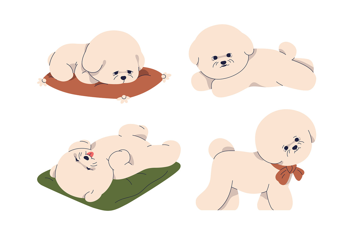 Cute dogs of Bichon Frise breed set, an Animal Illustration by Good Studio (Photo 6 of 10)