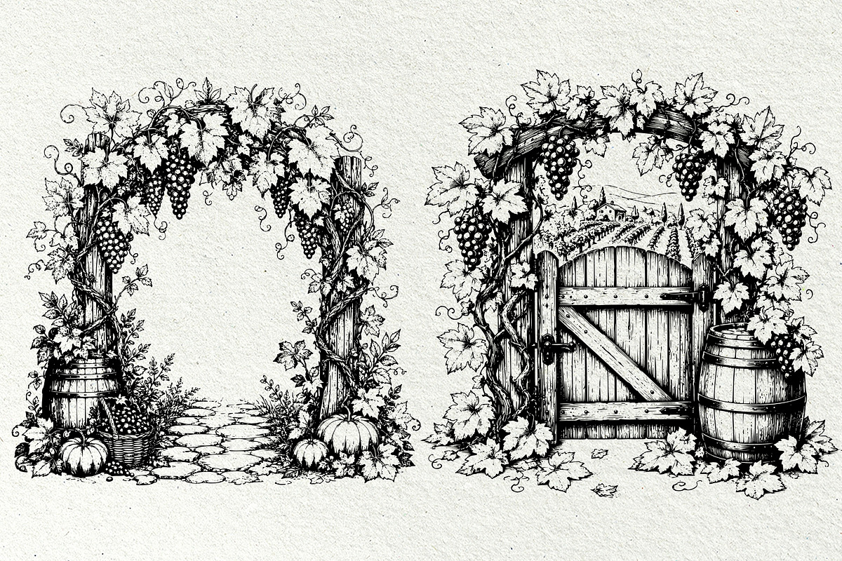 Grape Harvest Vineyard Graphics, a Decorative Illustration by DENIDigitalArtSudio (Photo 3 of 6)