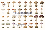 Vintage Mushroom Illustrations, a Decorative Illustration by youtoview (Thumbnail 3 of 13)